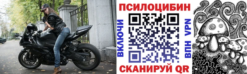 Псилоцибиновые грибы GOLDEN TEACHER  цена наркотик  Пятигорск 